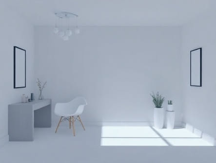 The Directorate General Of Civil Aviation