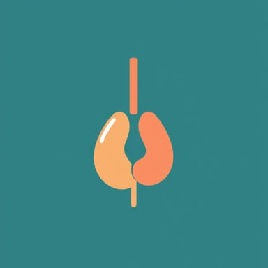 Urgent Care Bruckner Blvd