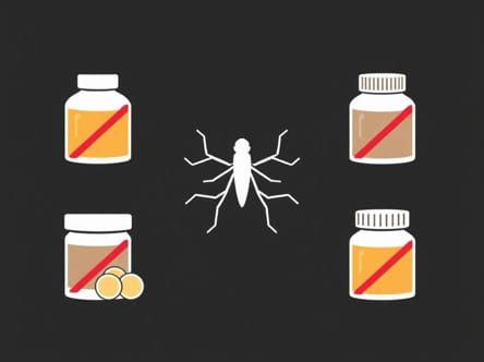 Vision Corner Faerie Glen