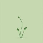 What Is A Capsular Pattern