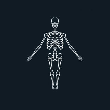 What Is The Centrifuge Brain Project