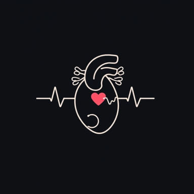 Zero To Finals Fetal Circulation