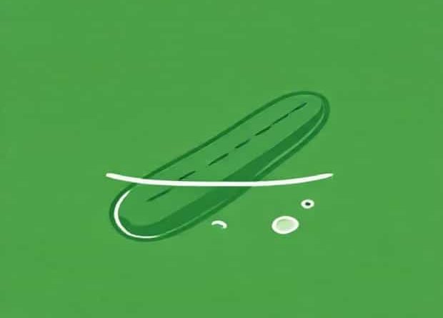 A Cucumber Placed In Brine Solution