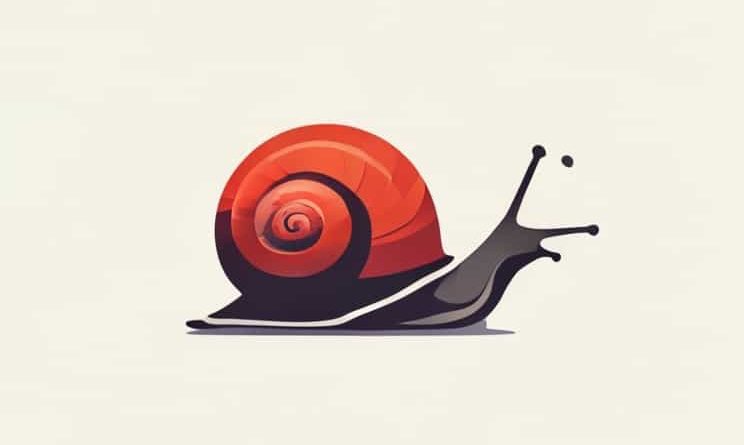 A Snail Is Classified As A