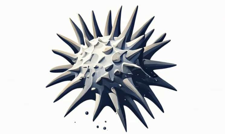 An Echinoderm Marine Asteroid Known