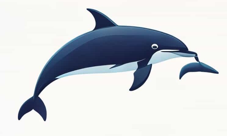 Angaria Delphinus Common Name