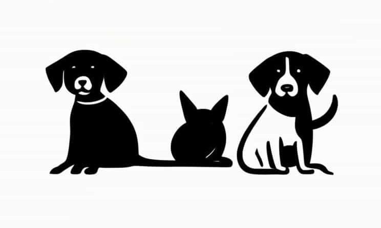 Are Dogs Allowed At Spurn Point