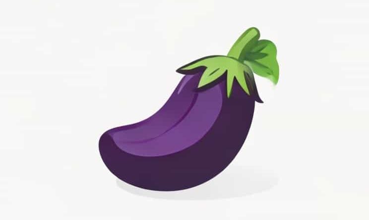 Are Eggplant A Fruit Or Vegetable