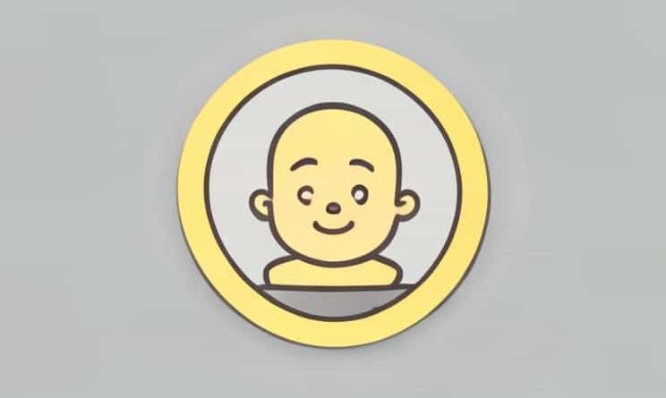 Baby Grok Coin Price Prediction