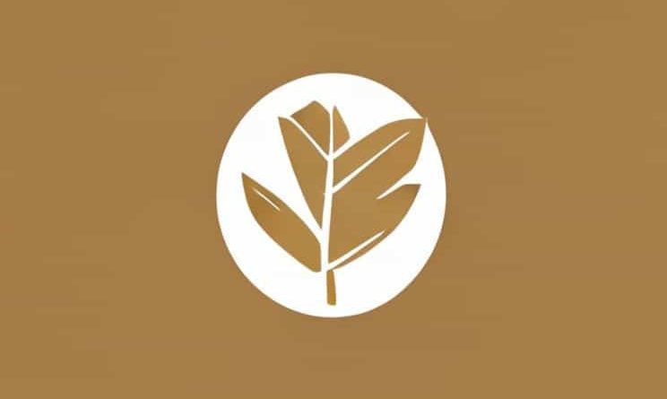 Bd Difco Agar Bacteriological