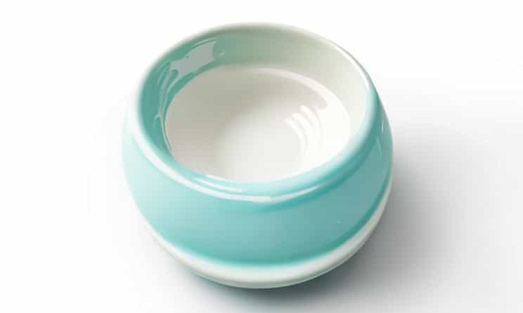 Best Diy Ceramic Coating