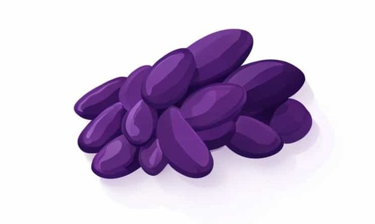 Best Granddaddy Purple Seeds