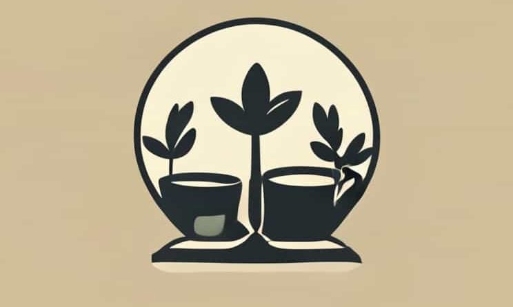 Bliss Salon Pequot Lakes