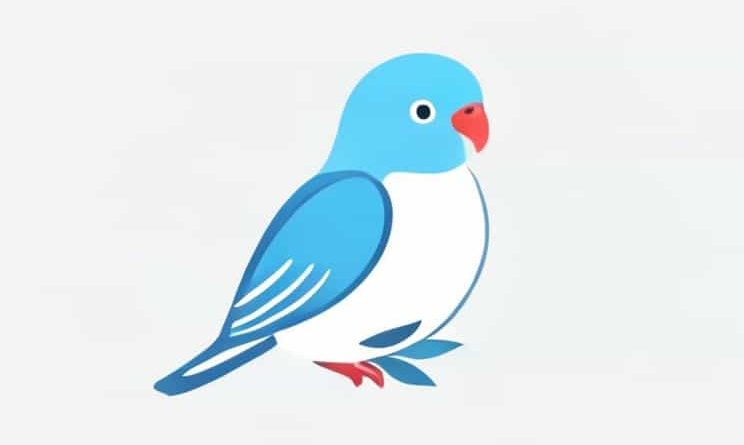 Blue And White Budgie