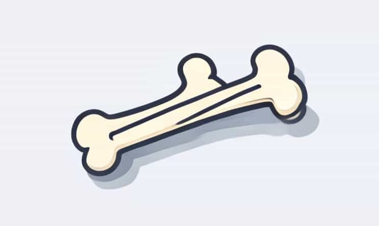 Bone Tool Adobe Animate