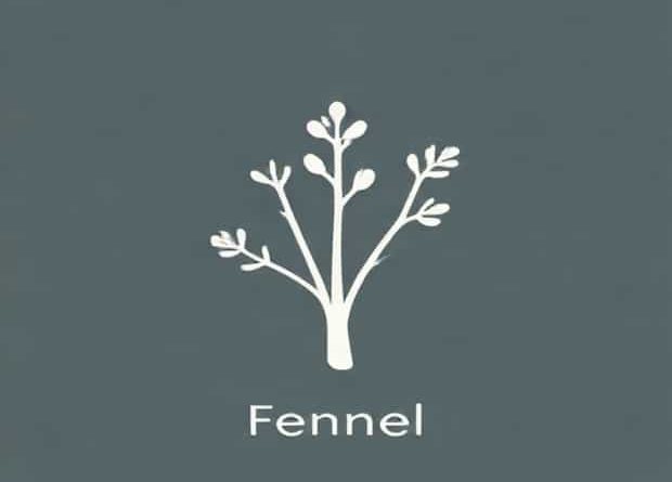Botanical Name Of Fennel