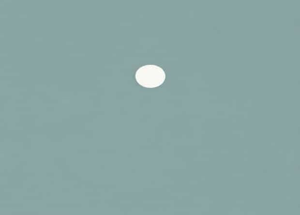 Brian Abelson Emily Witt