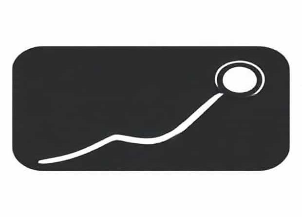 C Find Leftmost Set Bit