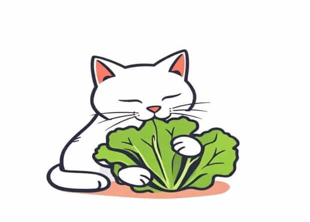 Can Cats Eat Lettuce