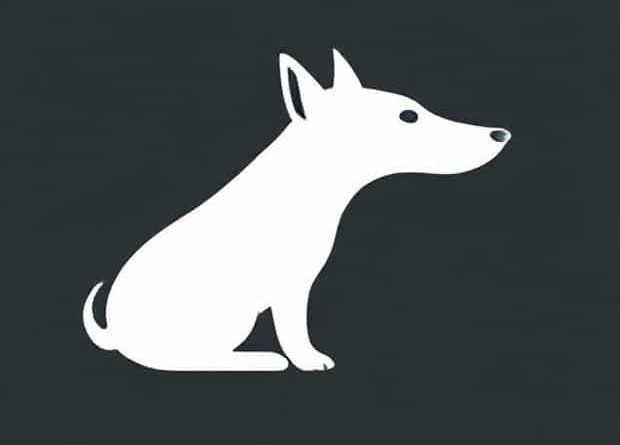 Can Dogs Catch Myxomatosis