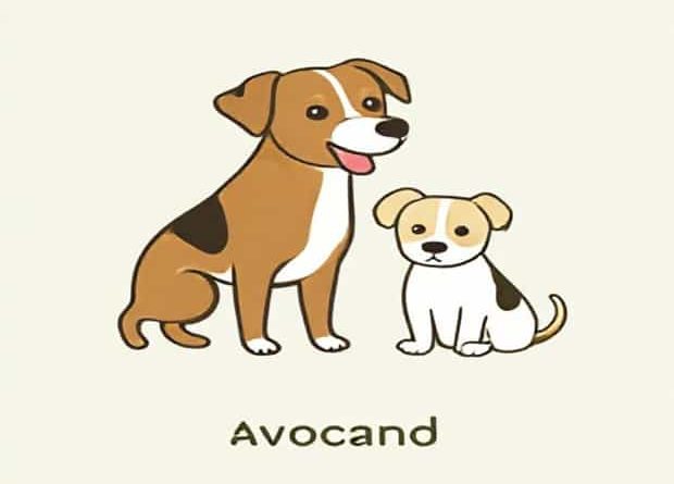 Can Dogs Have Avocado