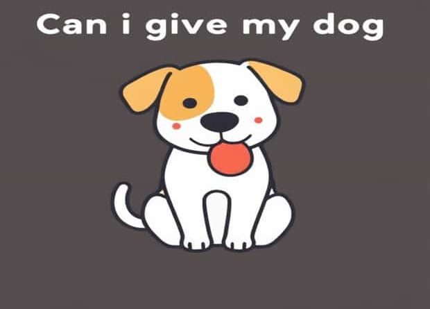 Can I Give My Dog Tums