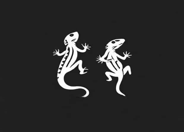 Can You Buy Hightail Lizards