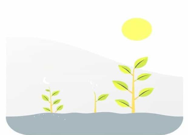 Carbon Dioxide Is Released During Photosynthesis