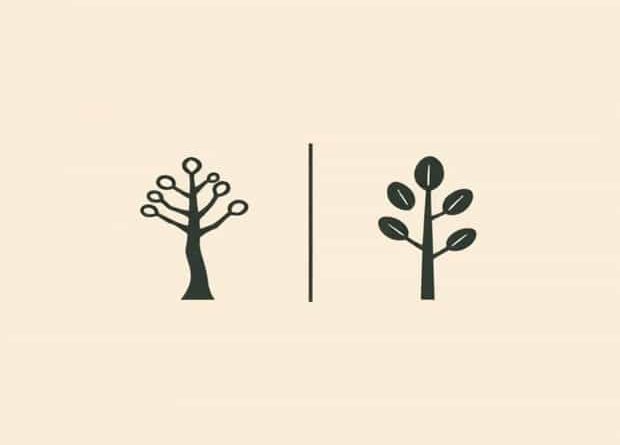 Difference Between Anthropocentric And Non-Anthropocentric