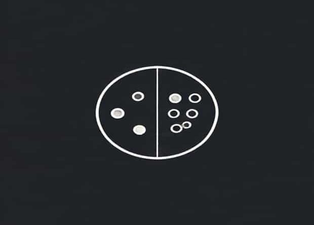 Difference Between Stratified And Cluster Sampling
