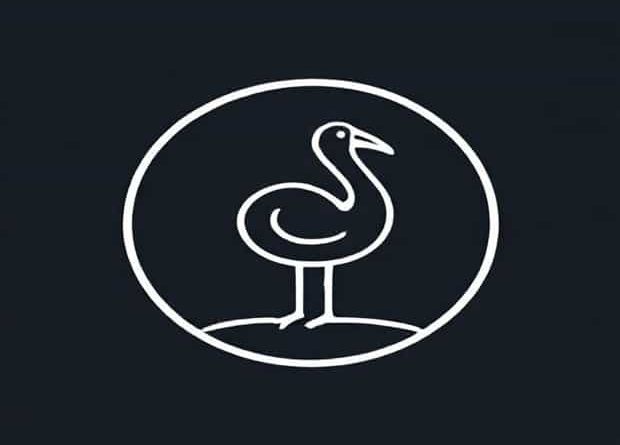 Dodo Consensus Academy In Dodo