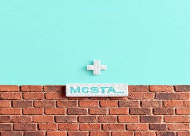 I Hospitalized A Brick