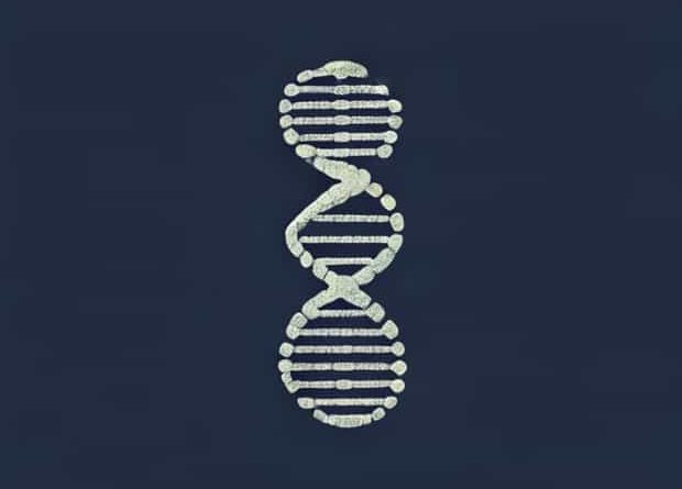 Is The Importance Of Dna Copying In Reproduction?