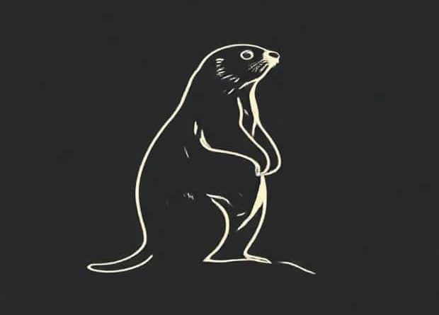 Marmot Scree Pants Women'S