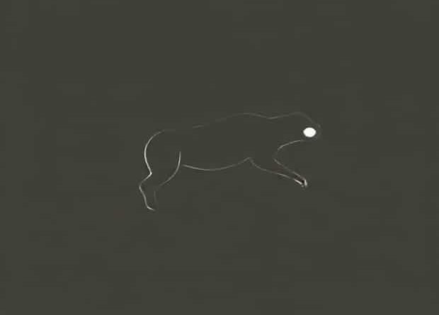 Meaning Of Turgidity And Rigidity