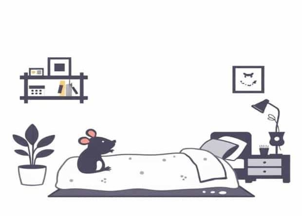 Mengusir Tikus Di Kamar