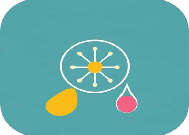 Mention The Function Of Gustatory And Olfactory Receptors