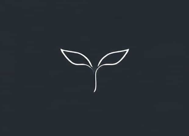 Other Words For Fragility