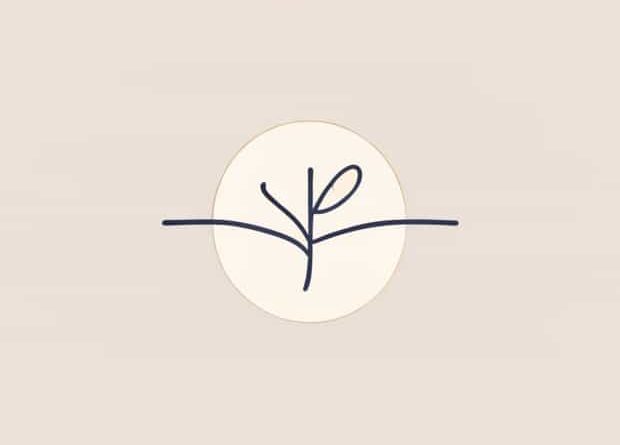 Use Delicate In A Sentence