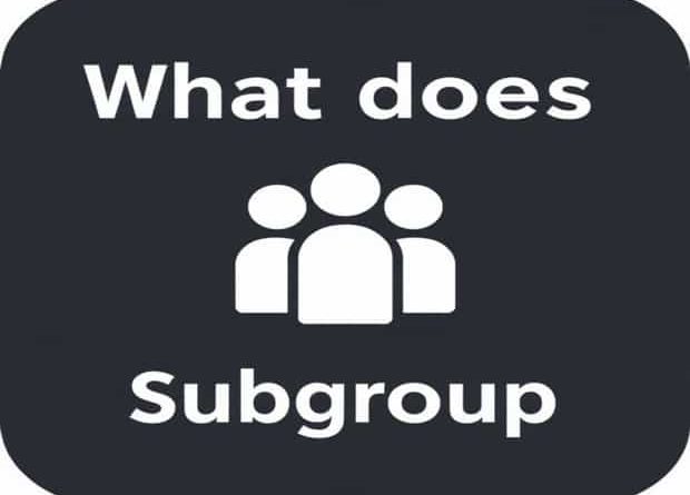 What Does Subgroup Mean
