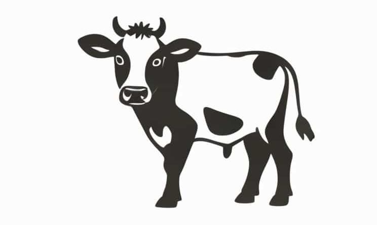 A Cow Is A Herbivore