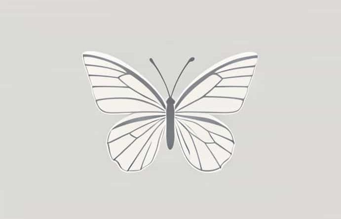 Butterfly Rash Not Lupus