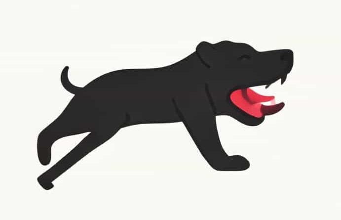 Cane Corso Bite Force