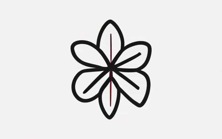 Causes Of Puerperal Sepsis Ppt