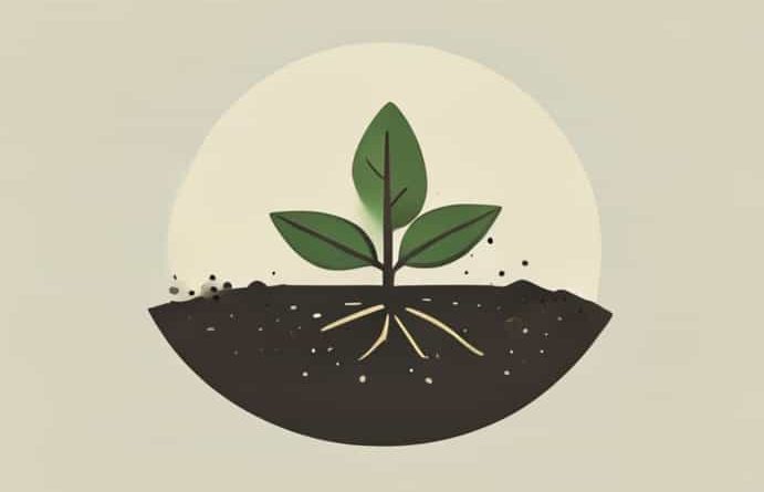 Does Roundup Contaminate Soil