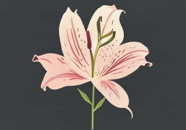 Father Of Lily Rose Depp