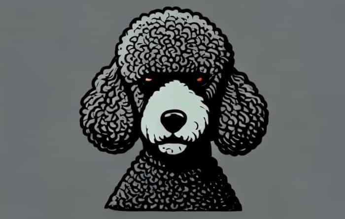 Horrid Henry Boodle Poodle