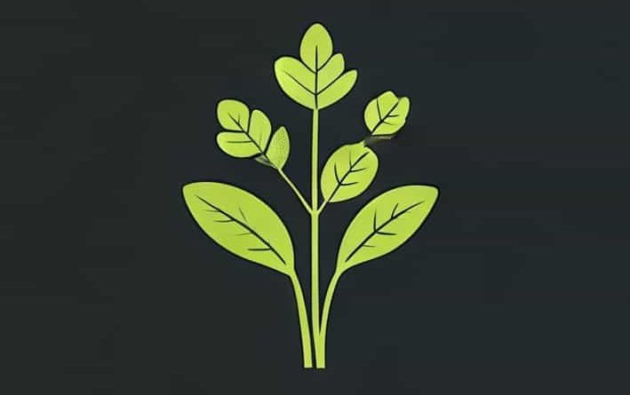 How Do You Kill Chickweed