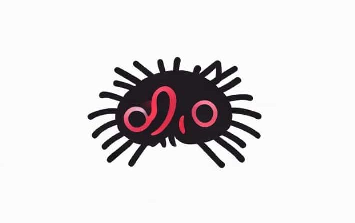 How Does Lice Look Like