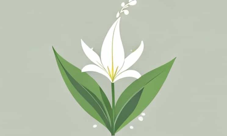 Lily Of The Valley Lily